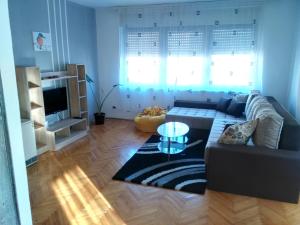 Posezení v ubytování Apartment Premija
