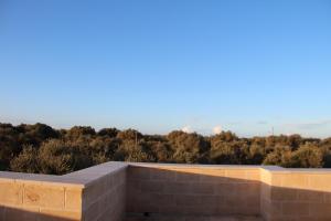 Příroda nedaleko bed and breakfast + 13 fotografií