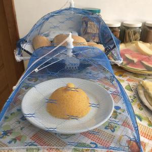 Jídlo v penzionu – hostince nebo okolí