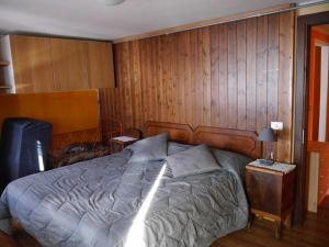 ブレウイル・チェルヴィナイアにあるVillaBlancheの木製の壁のベッドルーム1室(ベッド1台付)
