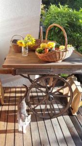 un chat debout à côté d'une table avec une corbeille de fruits dans l'établissement Turistična kmetija Weiss, à Miklavž pri Taboru