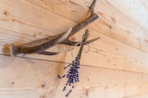 Fotografie z fotogalerie ubytování Prenner Alm v Hausu