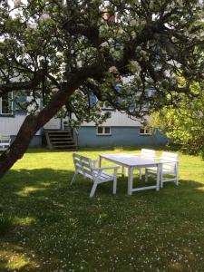 Zahrada ubytování Borgholm Rum Centralt