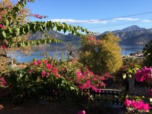 a view of a lake from a garden with pink flowers at Selimiye Houses in Selimiye