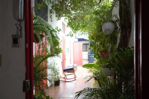 聖多明各的住宿－La Puerta Roja Guest House，相簿中的一張相片