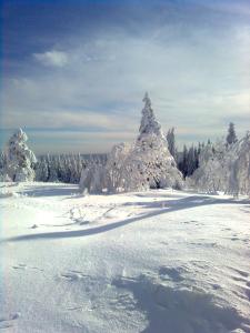Imagen de la galería de Gästezimmer Im Haus Am Wald, en Freudenstadt