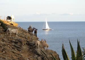 Paesaggio naturale nelle vicinanze della casa vacanze