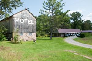 a dog standing in the grass next to a barn at Noble Motel in Norland