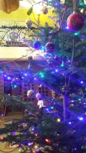 a christmas tree with christmas lights on it at Letuchiy Gollandets in Uzhhorod