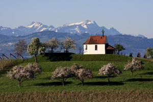 une église au sommet d'une colline avec des arbres et des montagnes dans l'établissement Zum Seglerhafen – Ferienappartement, à Kressbronn am Bodensee