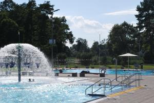 Bazén v ubytování Ferienwohnung Höchsten nebo v jeho okolí