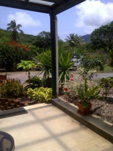 a garden area with plants and a window at Hillcrest Guest House in Cooktown