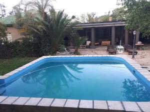 a large blue swimming pool in front of a house at Puccini House in Windhoek