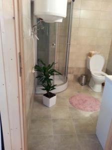 a bathroom with a shower and a toilet and a plant at Ow Bursztynek in Rusinowo