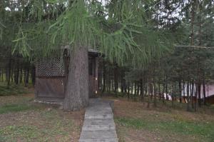 Zahrada ubytování Сосновий Двір