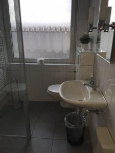uma casa de banho com um lavatório e uma janela em Lipmann am boll em Hamm
