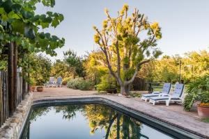 a backyard with a pool and chairs and trees at Karoo Lodge in Prince Albert