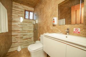 La salle de bains est pourvue de toilettes, d'un lavabo et d'un miroir. dans l'établissement Carmen Hotel & Villas, à Jarabacoa