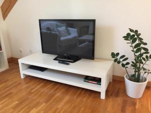 a television on a white stand with a potted plant at Apartment thermale luxeuil in Abelcourt