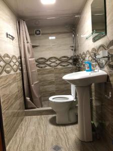 a bathroom with a toilet and a sink at Lia&Ramaz Guest House in Kazbegi