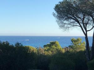 widok na ocean z wzgórza z drzewami w obiekcie Bacio di Sole w Puli