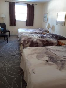 Posteľ alebo postele v izbe v ubytovaní Mountain View Motel