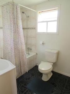 カストロにあるCabañas Piedra Blancaのトイレとシャワーカーテン付きのバスルーム +21枚の写真
