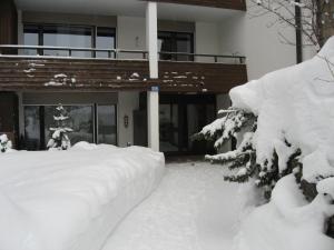 un patio cubierto de nieve frente a una casa en Haus Brüggli B24, en Arosa