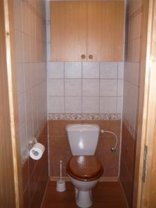 a small bathroom with a toilet with a wooden seat at Chalupa Podlesí in Podlesí