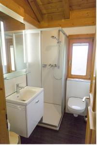 ein Bad mit einer Dusche, einem Waschbecken und einem WC in der Unterkunft Blockhaus Bayerischer Wald in Stamsried
