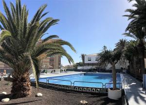 - une piscine avec des palmiers dans un complexe dans l'établissement The Resthouse, à Candelaria