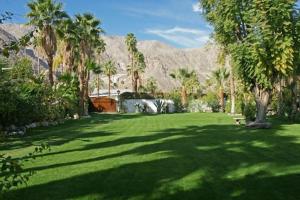 a green lawn with palm trees and mountains in the background at Villa Thornhill in Palm Springs