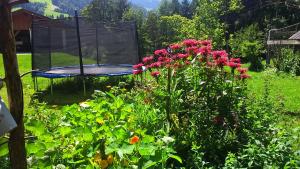 kąpiel ptaków na środku ogrodu z kwiatami w obiekcie Wörglerhof w Alpbach
