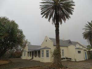 a palm tree in front of a house at Roode Bloem Farm House in Graaff-Reinet