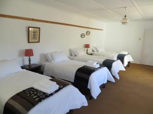 eine Gruppe von 4 Betten in einem Zimmer in der Unterkunft Roode Bloem Farm House in Graaff-Reinet
