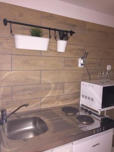 A kitchen or kitchenette at apartman Deisi