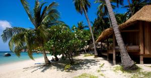 una playa con palmeras y un edificio en ella en Charming Apartment within Bahia Principe 5*, en Akumal