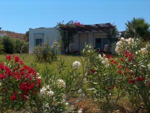 Zahrada ubytování Villa Kos