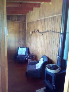 a living room with two blue couches and a fireplace at Los Encinos de Chancoyan in Valdivia +34 photos