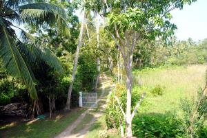 a dirt road through a forest with palm trees at Village Villa in Hikkaduwa