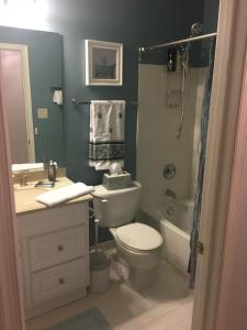 a bathroom with a toilet and a sink and a shower at Premier National Harbor House in Fort Washington +32 photos
