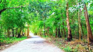 Un paisaje natural cerca del departamento