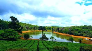 Un paisaje natural cerca del departamento
