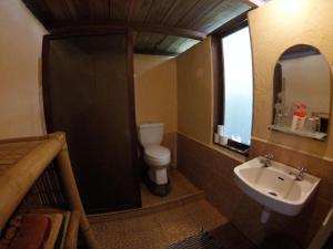 a bathroom with a sink and a toilet and a mirror at Rinjani Mountain Garden in Bayan