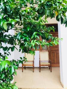 Gallery image of Treasure House Tourist Rest in Anuradhapura