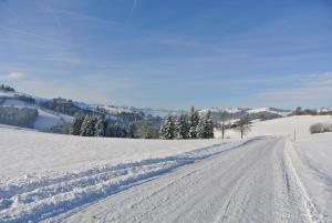Kornihof during the winter