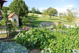 A garden outside Kornihof