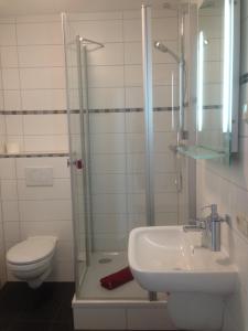 uma casa de banho com um chuveiro, um lavatório e um WC. em Pension Gerber em Erfurt
