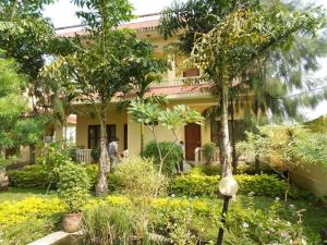 Vrt pred nastanitvijo Hotel Rainforest