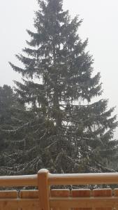 Wildererhütte Chalet Helmut v zimě